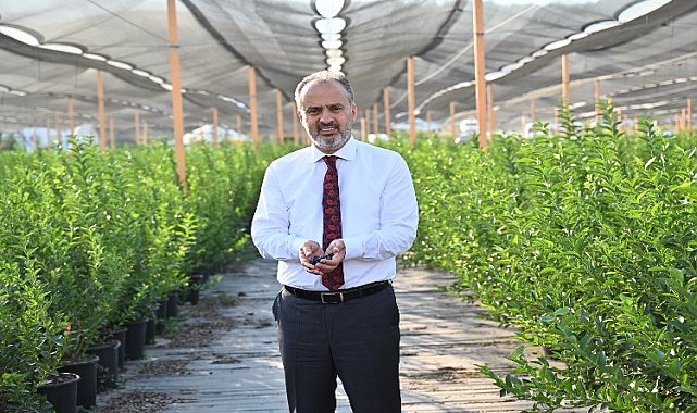 Bursa'nın yükselen değeri; tarım - YURT - Ordu Gazete