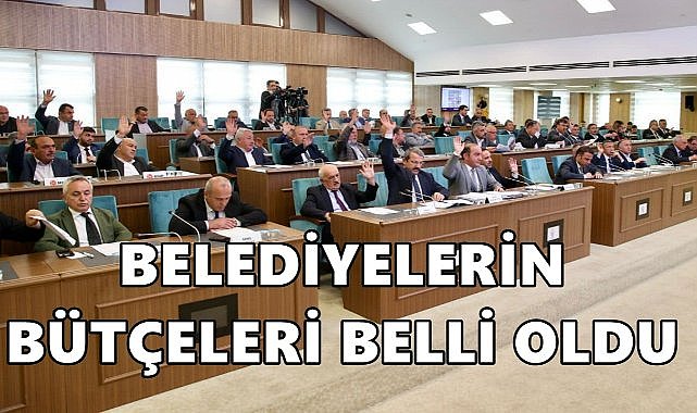 Ordu'da Belediyelerin 2025 Yılı Bütçeleri Belli Oldu