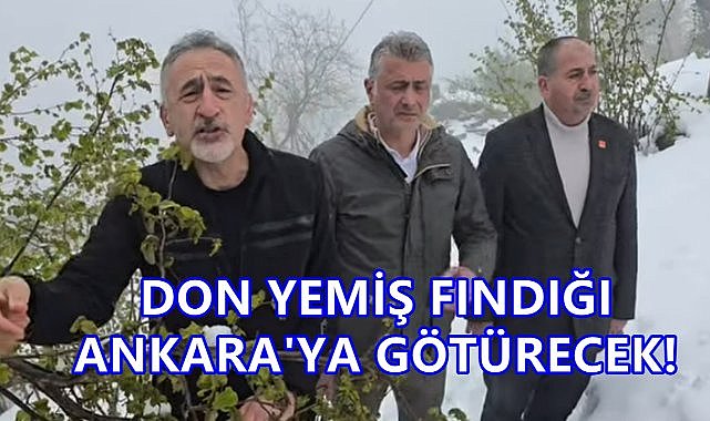 Adıgüzel Don Yemiş Fındığı Ankara'ya Götürecek!