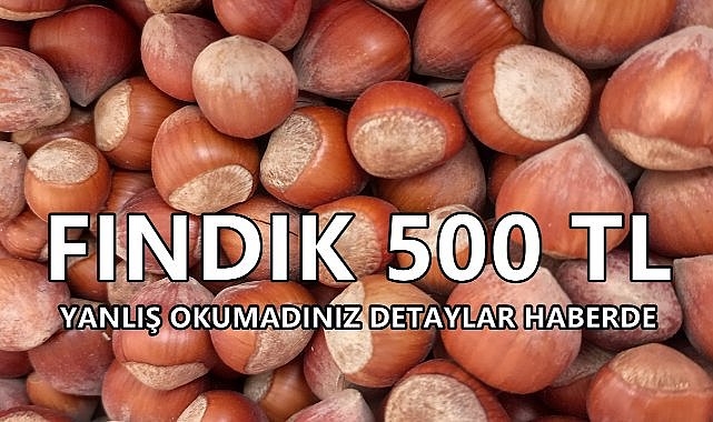 Fındık Fiyatı 500 TL oldu; Yanlış Okumadınız Detaylar Haberimizde