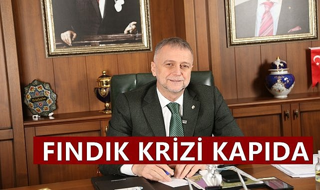 Fındık Krizi Kapıda; OTSO Başkanı'ndan Çiftçiye Destek İçin 5 Talep!