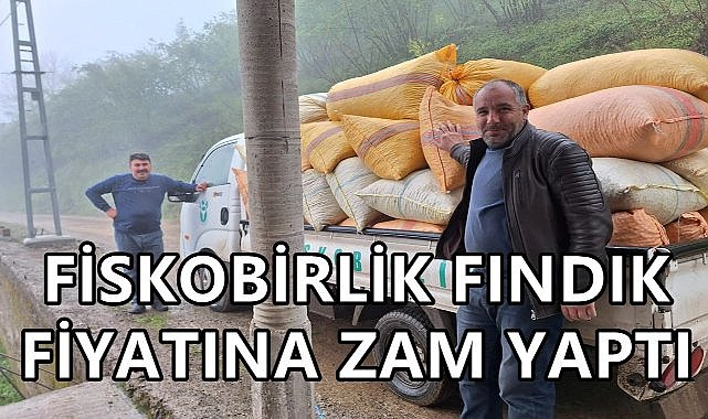 Fiskobirlik Fındık Fiyatına Zam Yaptı; 4 Ayrı Fındık Fiyatı Açıkladı