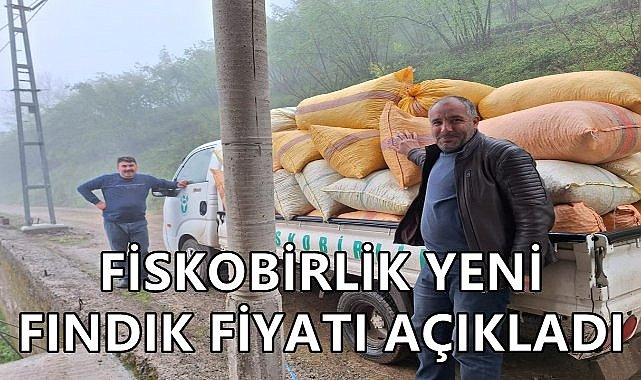 Fiskobirlik'in Yeni Açıkladığı Fındık Fiyatı Üreticileri Şaşırttı! 