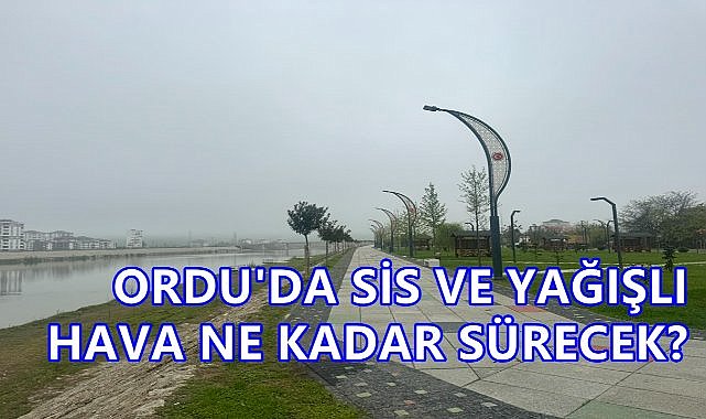 Ordu'da Hava Durumu Sis ve Yağmur Devam Ediyor