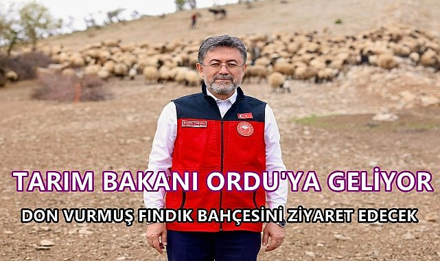 Tarım Bakanı Ordu'da Donun Vurduğu Fındık Bahçelerini İnceleyecek!